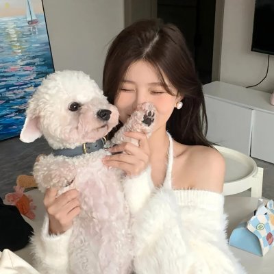 盗贼泰瑞莎